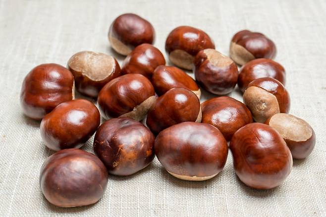 사진=게티이미지뱅크