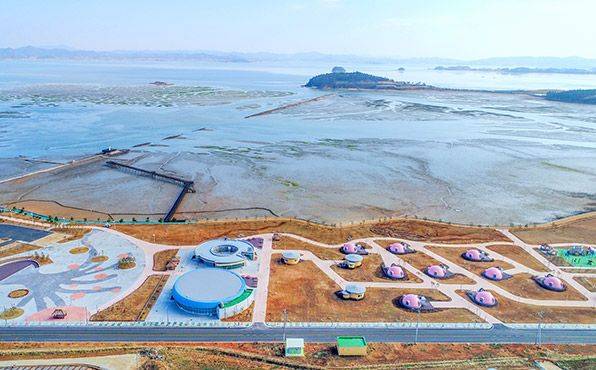 전남 무안군 무안 갯벌.