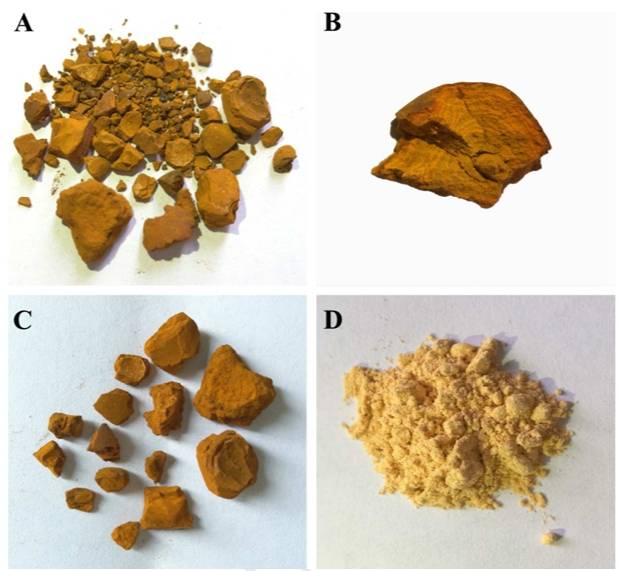 소의 담석으로 만든 천연 우황(ABC)과 인공 우황(D). /사진=민속약학저널(Journal of Ethnopharmacology)