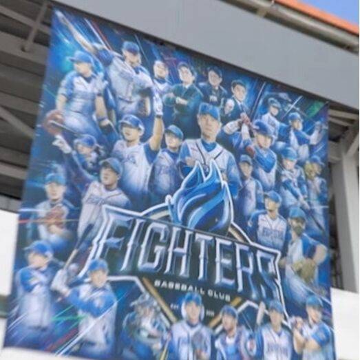 '불꽃야구' / 스튜디오C1