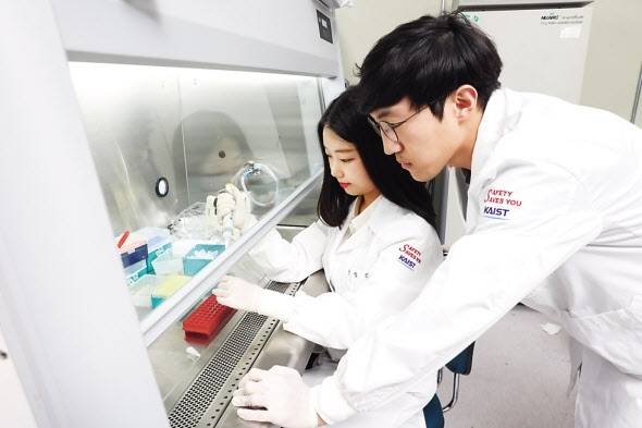 KAIST 의과학대학원 학생들의 연구 모습.[헤럴드DB]