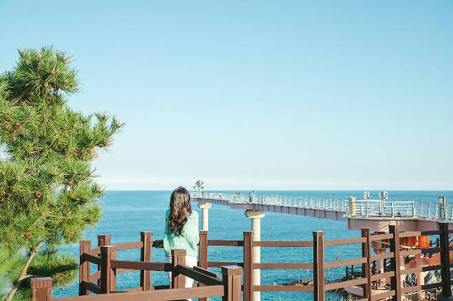 울진 스카이워크. 울진군 제공
