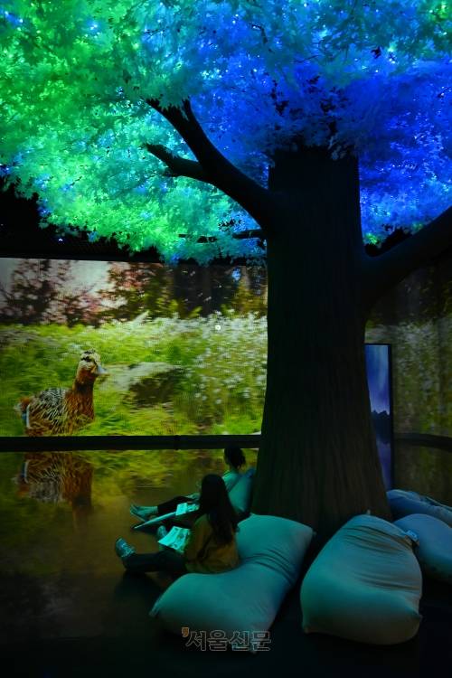 제천 의림지역사박물관 전시실.