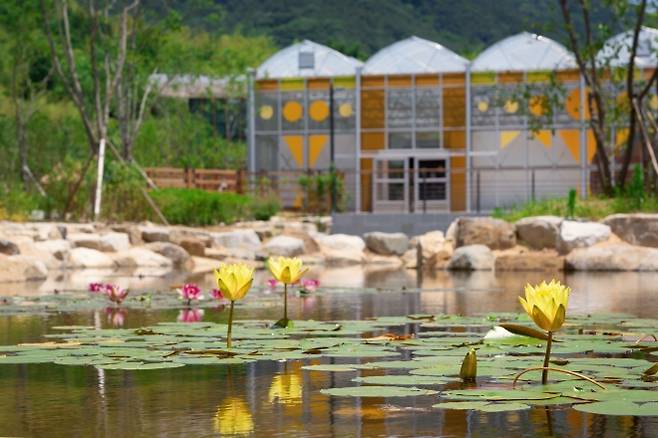 지난달 18일 문을 연 전남 담양의 국립정원문화원. 한국수목원정원관리원 제공