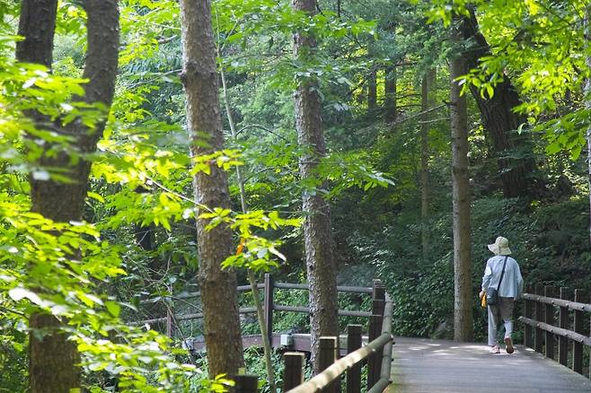 청계산맑은숲공원 [경기관광공사 제공. 재판매 및 DB 금지]