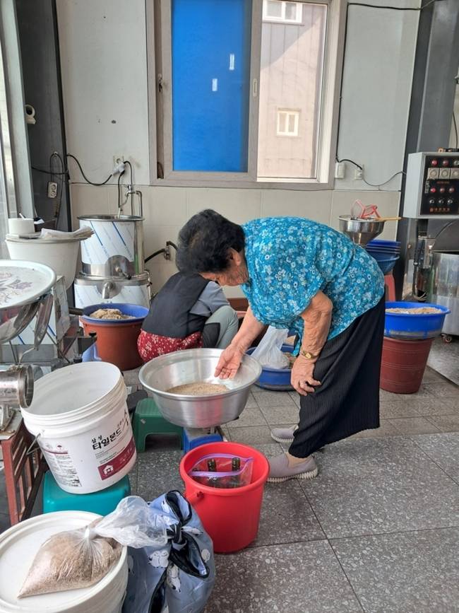 방앗간에서 깨를 확인하는 할머니. /김윤지