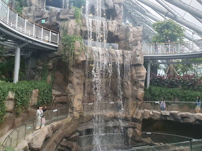 지난 10월 1일 정식 개장한 포항 환호공원 식물원 내부 모습. /임창희 선임기자