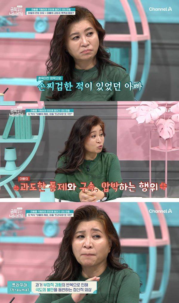 ⓒ채널A