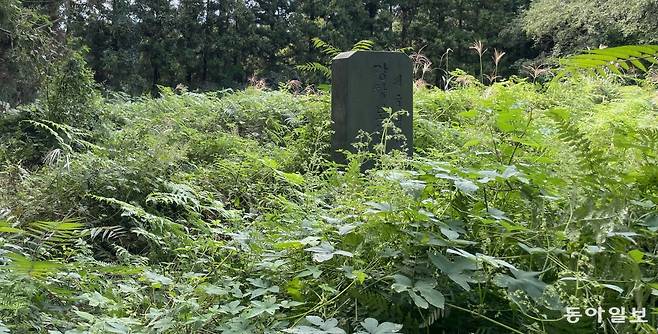 2일 제주 제주시 용강동 독립운동가 강창보 선생의 묘역. 이날 방문한 강 선생의 묘지는 한동안 관리되지 않은 듯 잡초 등이 성인 가슴 높이만큼 자라 있었다. 2m 높이의 추모 기념비만이 이곳이 강 선생이 묻힌 곳임을 알려줬다. 제주=송은범 기자 seb1119@donga.com