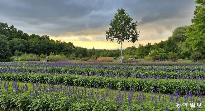 직접 기른 허브로 다양한 감각을 일깨우는 도카치 힐스.