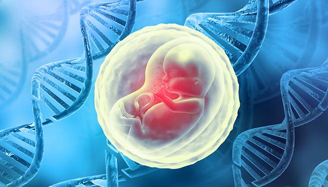 기사와 직접적 연관 없음. 사진=게티이미지뱅크