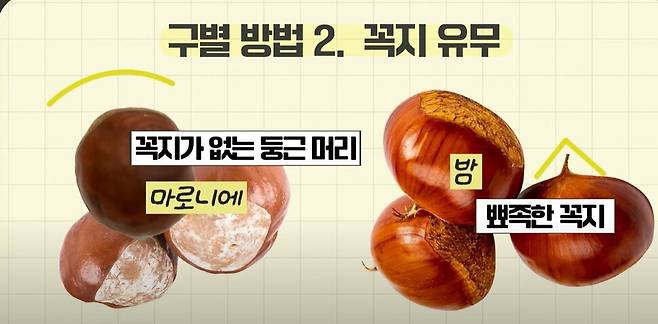 식품의약품안전처 유튜브 갈무리.