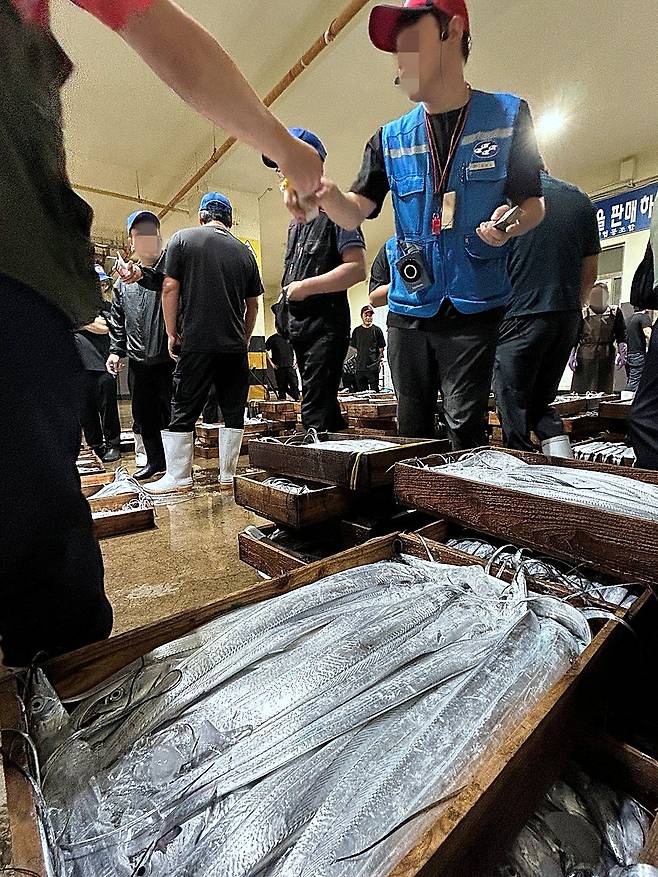 30일 제주시 수협 위판장에서 갈치 경매가 진행되고 있다. 문정임 기자