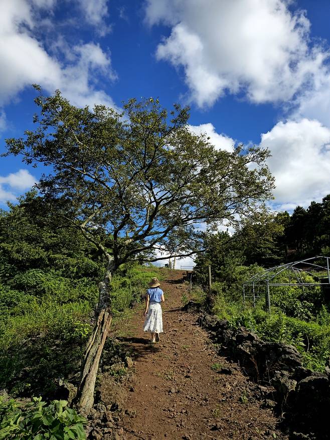 문도지 오름 가는 길.