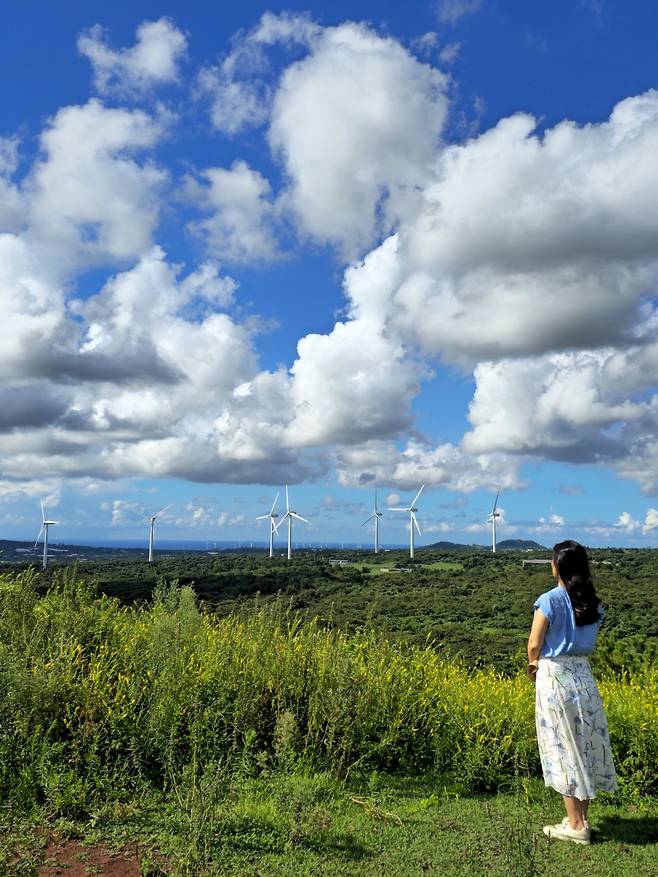 문도지 오름 정상.