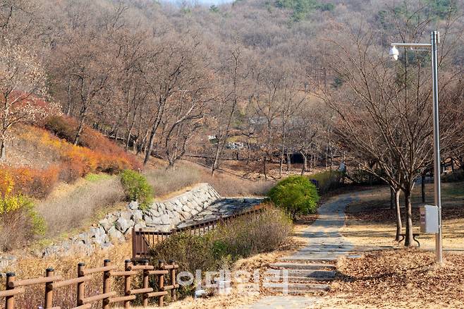 경기옛길 제5길 의주길 중 파주 임진나룻길 전경.(사진=경기도)