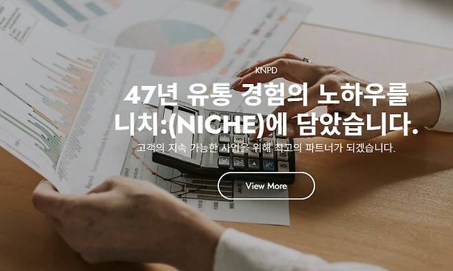 온라인 판매회사 에스이랜드의 온라인 판매대행 사이트 KNPD 사진=KNPD