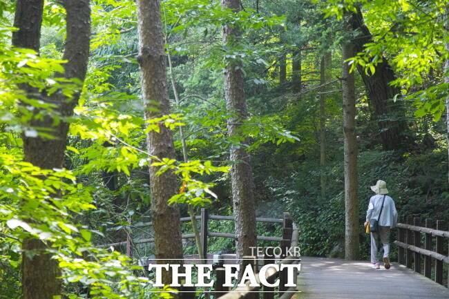 의왕 청계산맑은숲공원 전경./경기관광공사