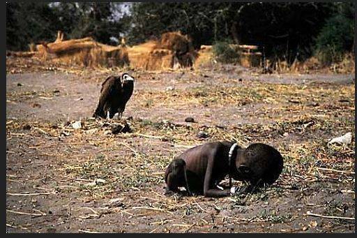 1994년 퓰리처상 수상작인 ‘수단의 굶주린 아이’. 사진을 촬영한 케빈 카터는 수상 3개월 뒤 스스로 목숨을 끊었다.