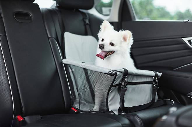 게티이미지뱅크