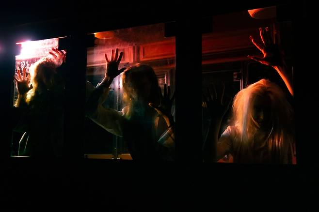 “밤의 곶자왈, 기차는 공포로 달린다.” 에코랜드의 야간 몰입형 체험 ‘좀비트레인: 제주행’은 빛과 어둠, 인간과 환상의 경계를 무너뜨린다. (에코랜드 제공)