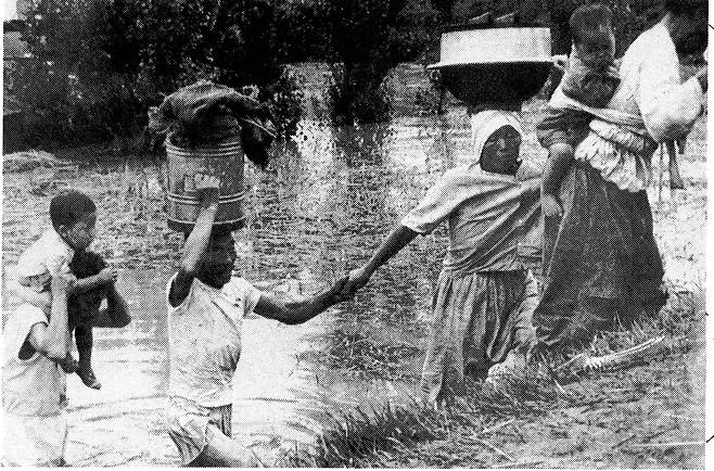 사라호 태풍이 몰고 온 홍수에 피난민들이 쫓기고 있다. 경향신문 자료사진