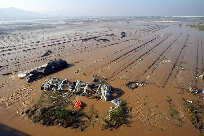 부산 강서구 대저동 낙동강 하류 변의 비닐하우스가 태풍 매미로 물에 잠겨 간신히 모습을 드러내고 있다. 서성일 선임기자
