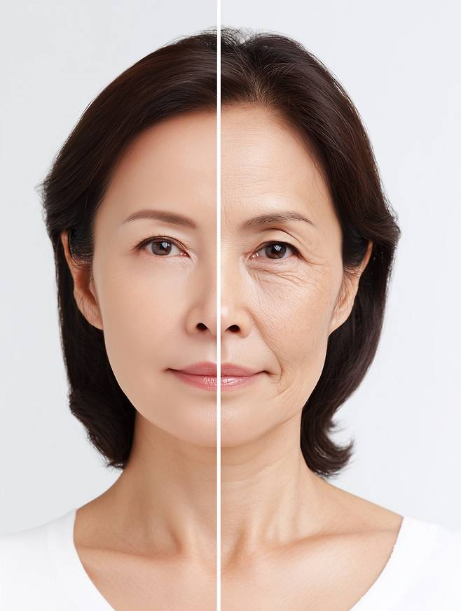 사진은 기사의 이해를 돕기 위한 자료 사진. /사진=게티이미지뱅크