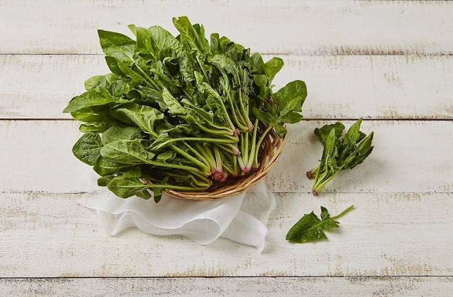 시금치. 아이클릭아트