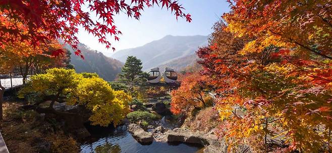 화담숲 단풍 프레임 속 모노레일 풍경