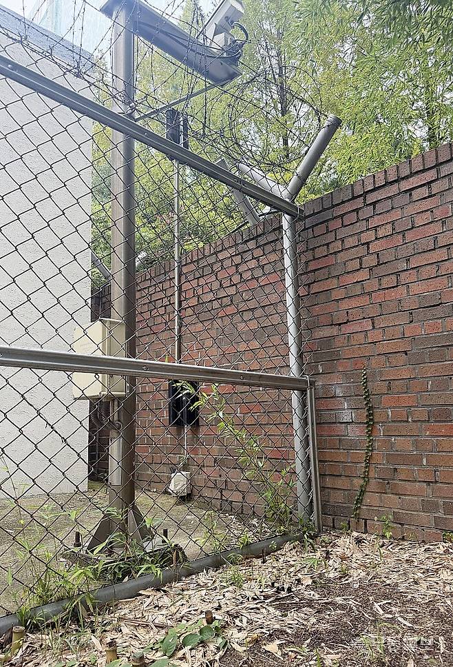 광주 서부경찰서 후문 무기고 주변. 대나무가 CCTV를 가린다는 이유로 일부 베어져 있다.