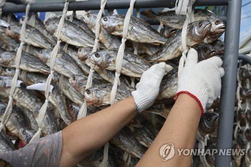 영광 보리굴비 [연합뉴스 자료사진]