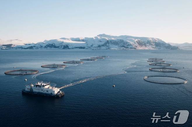 노르웨이의 대표적인 글로벌 연어양식 기업인 모위의 해상 양식장(출처: 모위 누리집)