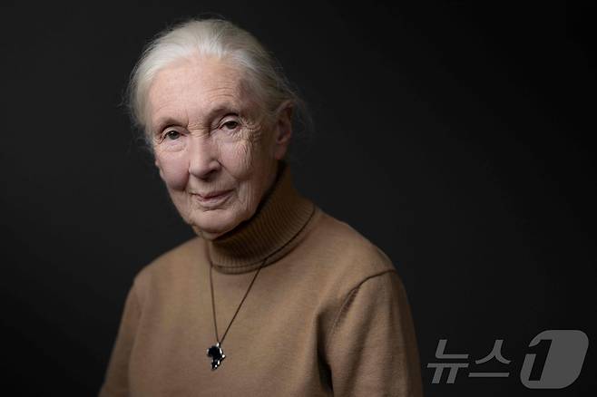 영국의 동물행동학자이자 영장류학자 제인 구달 박사가 1일(현지시간) 91세를 일기로 영면했다. 2024.10.18. ⓒ AFP=뉴스1 ⓒ News1 윤다정 기자