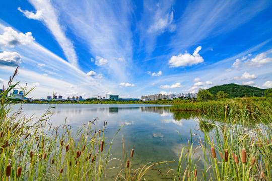 세종호수공원 전경. 세종시 제공
