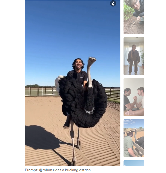 오픈AI가 공개한 소라 앱의 AI 제작 영상들. ‘@rohan rides a bucking ostrich’라는 프롬프트를 입력하면 ‘rohan’이란 아이디의 인물을 주인공으로 한 타조 타는 영상을 만들 수 있다. 오픈AI 제공