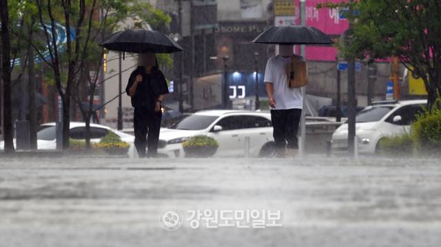 ▲ 강원도민일보 자료 사진