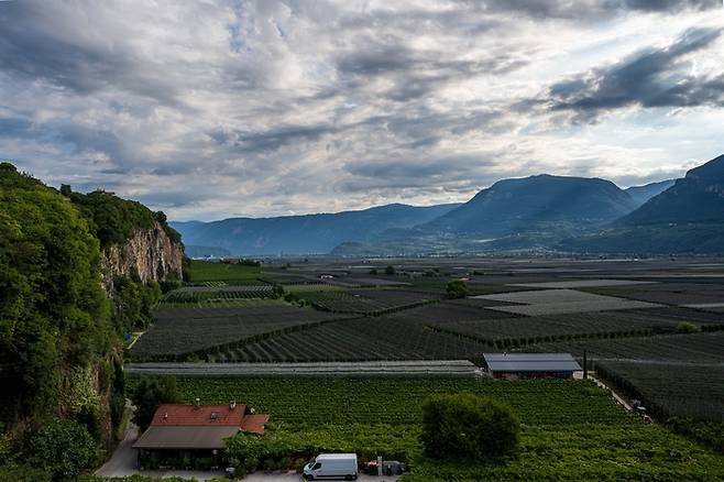 쿠르타치 와이너리의 테이스팅 테라스에서 바라본 수직 절벽과 포도밭의 풍경. [사진=전형민 기자]