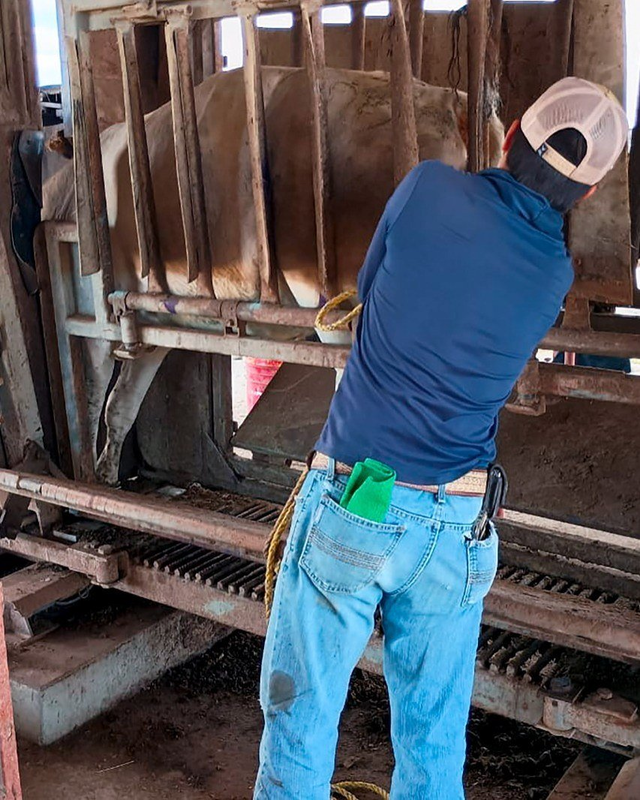 멕시코 농축산물안전청(SENASICA) 페이스북 캡처
