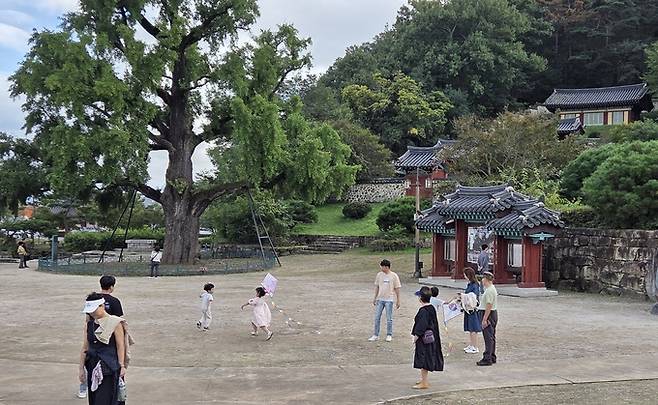▲ 8일 영천 9경의 한 곳인 임고서원 앞마당에 아이들이 마음껏 뛰어 놀고 있다. 권오석 기자
