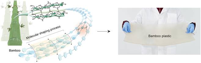 대나무 셀룰로스로 고강도 플라스틱을 만드는 공정./Dawei Zhao