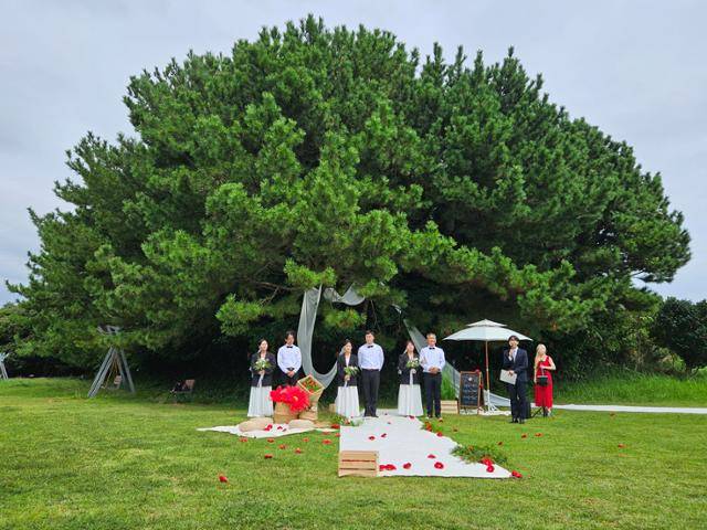 지심도는 섬 절반 이상을 동백나무가 뒤덮고 있어 '동백섬'으로도 불린다. 동백이 피는 계절이 아니어서 이날 결혼식은 푸른 소나무를 배경으로 진행됐다. 거제=박은경 기자