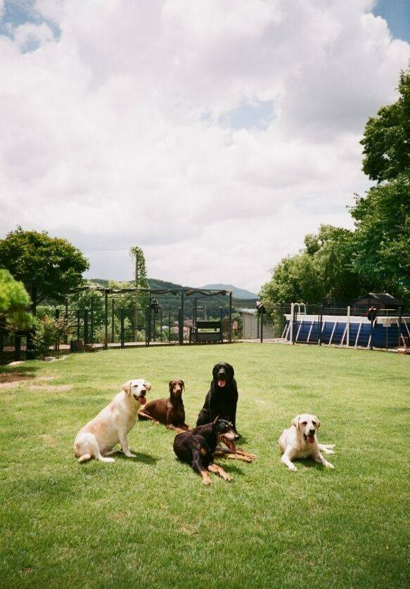 / 배정남 인스타그램