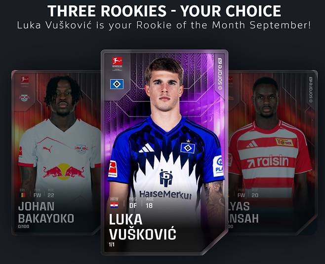 분데스리가 이달의 루키로 선정된 루카 부스코빅(현 함부르크SV). /사진=독일 분데스리가 공식 홈페이지 갈무리