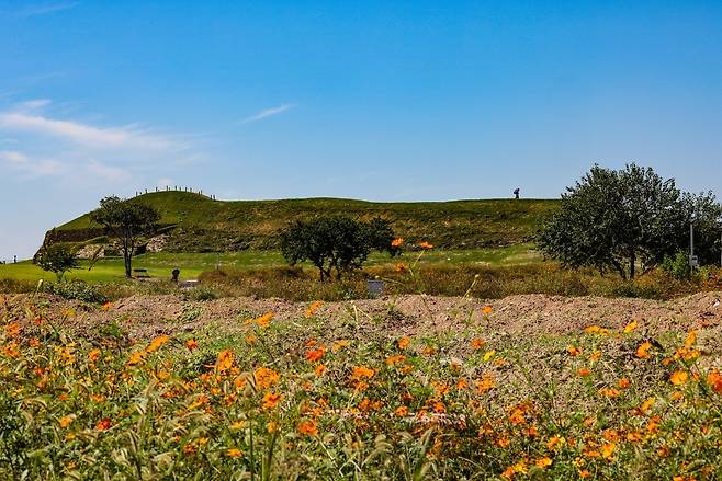 호로고루 [사진/임헌정 기자]
