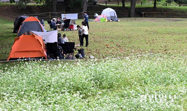 추석 연휴 마지막 날인 9일 오후 수원 탑동시민농장을 찾은 시민들이 즐거운 시간을 보내고 있다. 2025.10.9 /임열수기자 pplys@kyeongin.com