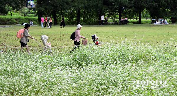 추석 연휴 마지막 날인 9일 오후 수원 탑동시민농장을 찾은 시민들이 즐거운 시간을 보내고 있다. 2025.10.9 /임열수기자 pplys@kyeongin.com