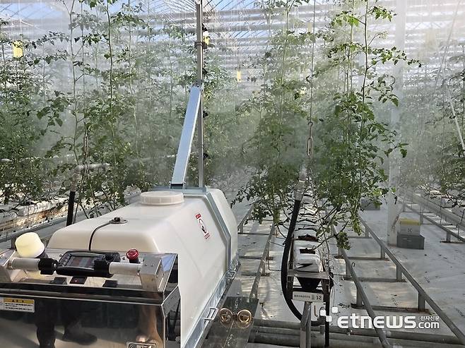 전북 익산 '월화수목금토마토' 농장 내 토마토 온실에서 방제로봇이 레일 위를 따라 이동하며 작물 사이를 분사하고 있다. (사진=박효주 기자)