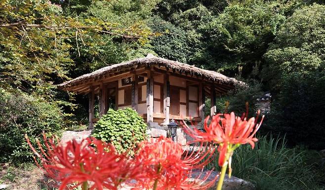 '다성(茶聖)' 초의선사가 기거했던 대흥사 일지암