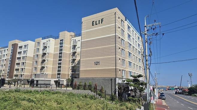 엘리프 애월. 서보미 기자